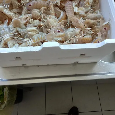 Garden فندق ألبا أدرياتيكا