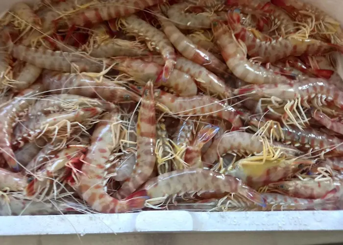 Hotel Garden Alba Adriatica