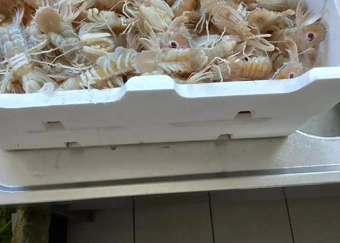 Garden 酒店 阿尔巴·阿德里亚蒂卡